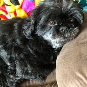 Meet your Posher, Tara